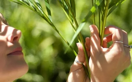 Morning Breathwork: A New Day