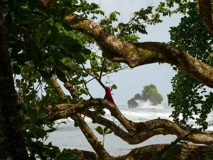 Morning Breathwork And Intention Setting Practice