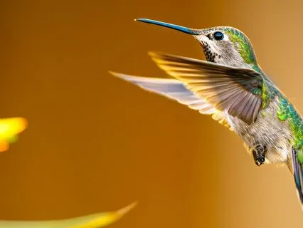 Morning Breathwork For Calm And Grounding