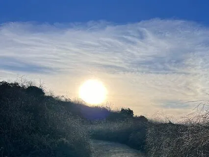 Morning Breathwork Practice To Breathe Life Into Your Day