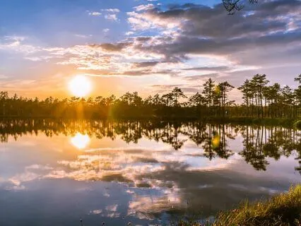 Morning Brings Calm: Peaceful Guitar Ambience