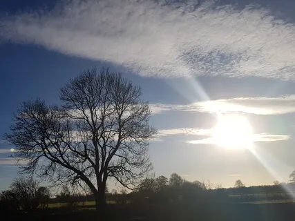 Morning Call Adi Shakti ( Long Ek Ong Kars)