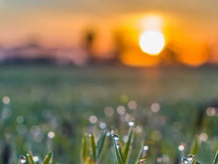 Morning Calm: A Fresh Start