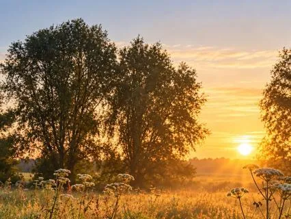 Morning Calm: A Gentle Start To Your Day