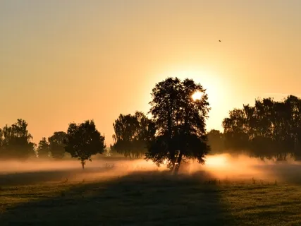 Morning Calm Breathing | 10 Minutes