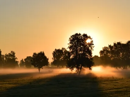 Morning Calm Breathing | 15 Minutes