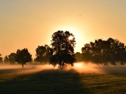 Morning Calm Breathing | 5 Minutes