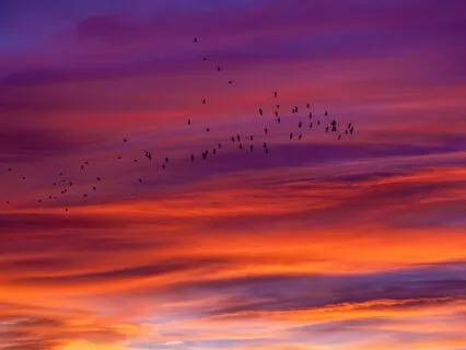 Morning Calm - Easing Anxiety Upon Waking