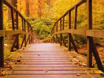 Morning Calm For Menopause: Acceptance, Compassion & Ease