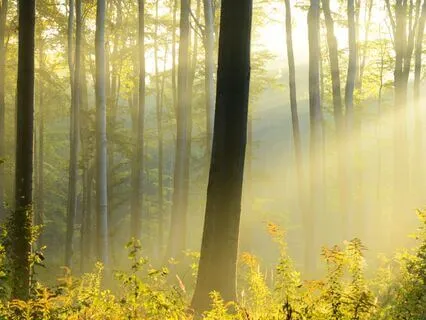 Morning Calm In Eight Minutes