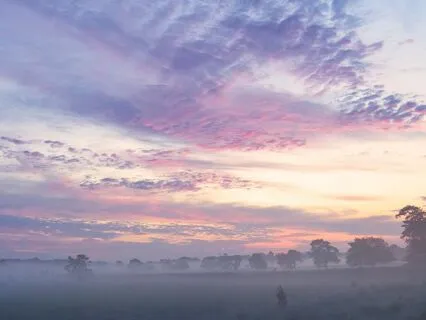 Morning Calm: Kickstart Your Day With Peace