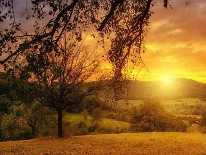 Morning Calm Reset