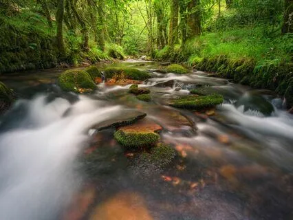 Morning Calm: Start Your Day Anxiety-Free