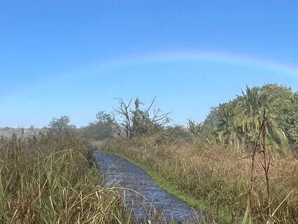 Morning Chakra Activation