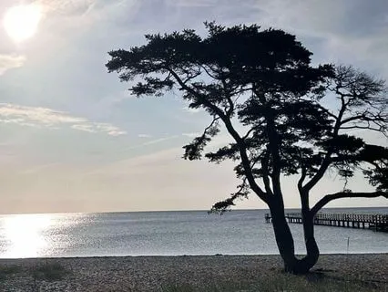 Morning Check-in For Conscious Leadership