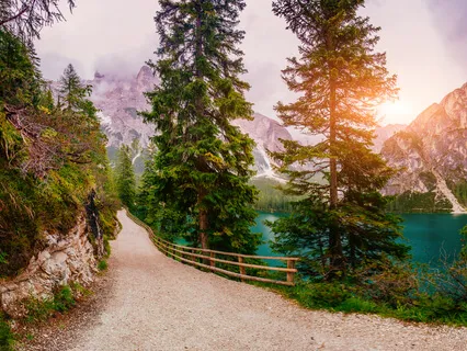 Morning Christian Prayer For Advent (Psalm 89)