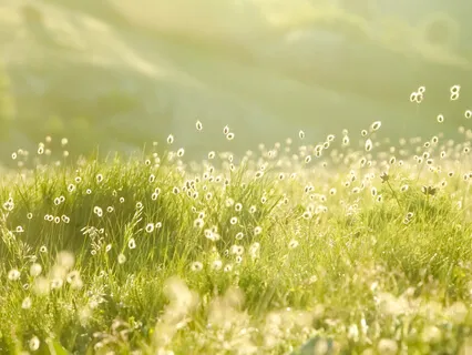 Morning Christian Prayers For Thanksgiving Day