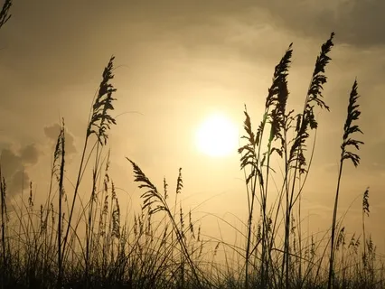 Morning Christian Prayers - John 9:39-41