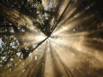 Morning Clarity And Intention Setting