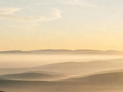 Morning Clarity To Focus The Mind