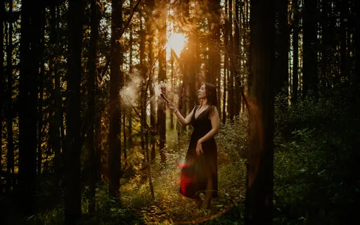 Morning Clarity With Animal Guides 