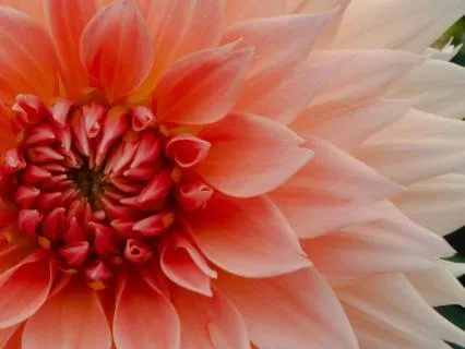 Morning Compassion - Start Your Day With Kindness