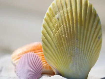 Morning Confidence For Kids & Teens