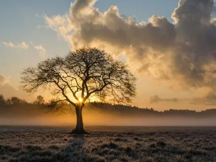Morning Confidence Reset For Work Stress & Burnout