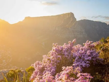 Morning Contemplation And Silence Ritual