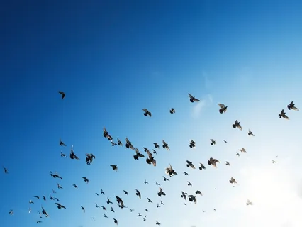 Morning Contemplation: Freedom & Fear