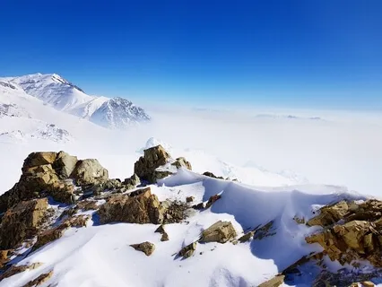 Morning Contemplation: How To Perform At Your Best