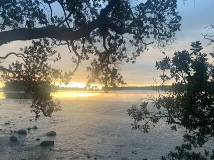 Morning Contemplation