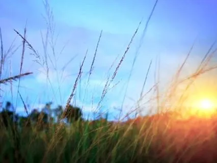 Morning Divine Presence: Open To Light, Hope, & Inner Peace