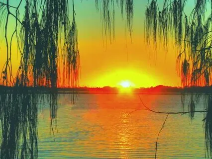 Morning Divine Reassurance Meditation