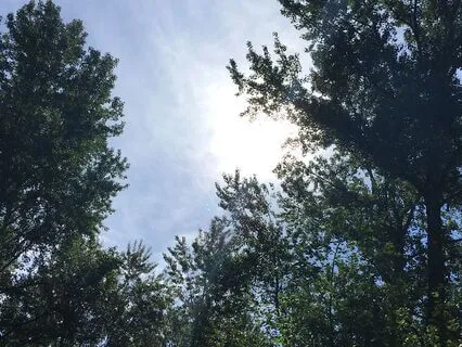 Morning Drive Intention Setting