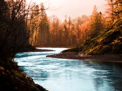 Morning Ease: A New Way Of Being