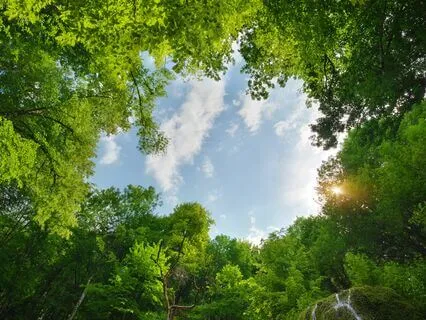 Morning Ease: Start The Day Calm