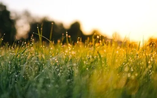 Morning EFT Tapping Meditation