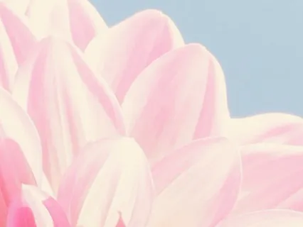 Morning Emotion Check-In & Affirmations