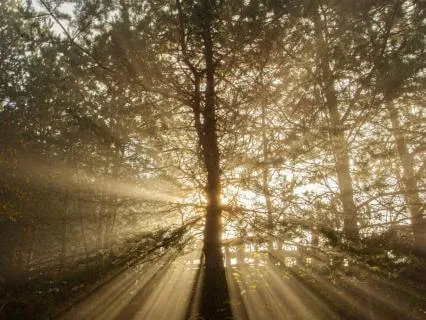 Morning Grounding Meditation For Sensitive Souls