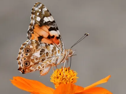 Morning Empowerment For Sensitive Souls