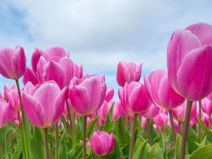 Morning Encouragement: You Are Enough