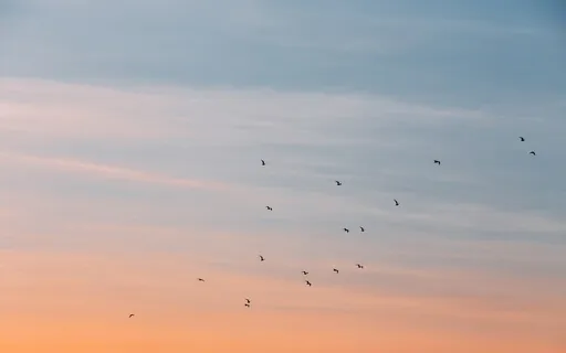 Morning Energetics Tune Up