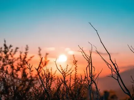 Morning Energizer Breathwork Meditation