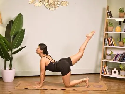 Morning Energiser- Tiger Pose / Vyaghrasana