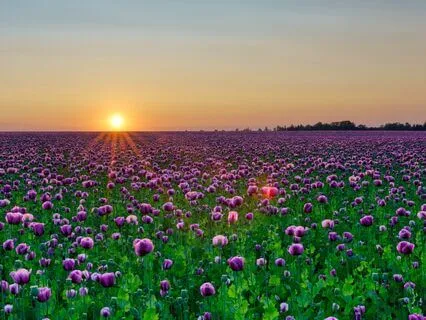 Morning Energy Boost: Align Your Body, Mind & Spirit