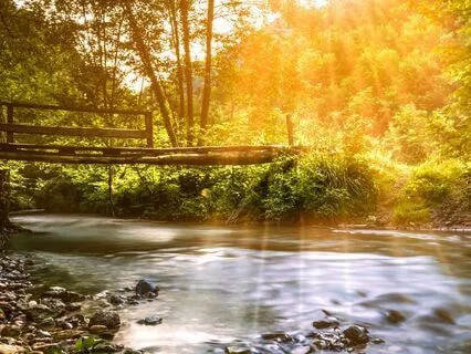 Morning Energy Boost: Flow Into The Day