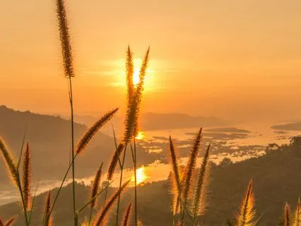 Morning Energy Boost: Sunrise Within