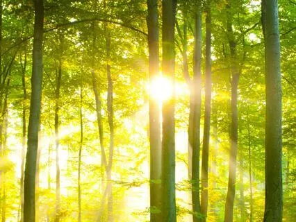 Morning Energy Boost With A Gentle Breathing Practice