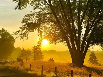 Morning Energy Cleanse Prayer